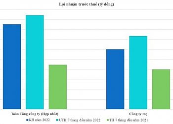 Ước lợi nhuận 7 tháng của Viglacera gần 1.890 tỷ đồng, vượt kế hoạch 11% - Ảnh 1.