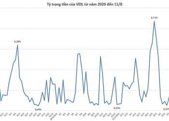 VEIL mua ròng hơn 1.200 tỷ đồng trong gần 1 tháng thị trường chứng khoán hồi phục - Ảnh 1.