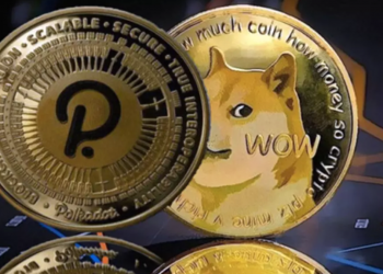Dogecoin có chiến thuật gì để đánh bại Polkadot?