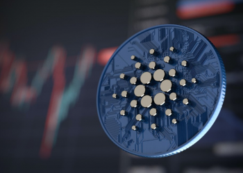 Cardano có động thái gì khi ADA giảm mạnh?