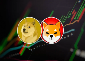 DOGE hay SHIB sẽ hồi sinh sau cơn khủng hoảng tháng 8?