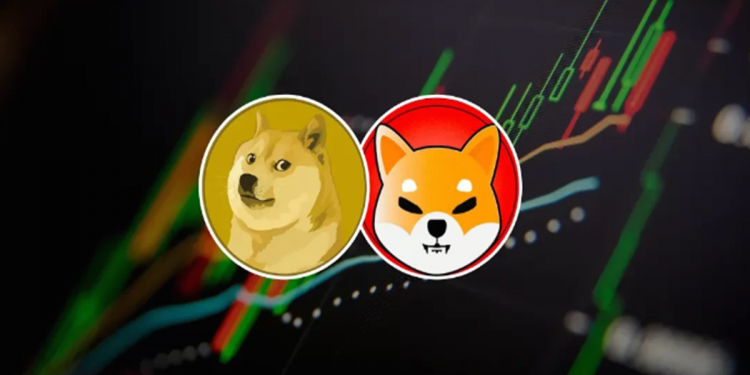 DOGE hay SHIB sẽ hồi sinh sau cơn khủng hoảng tháng 8?