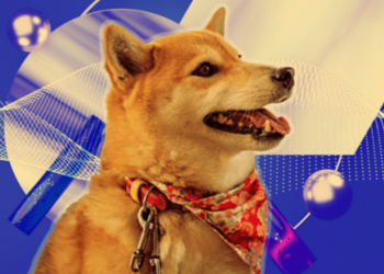 Sự thật về Dogechain bị bán tháo 1 triệu DC/phút?