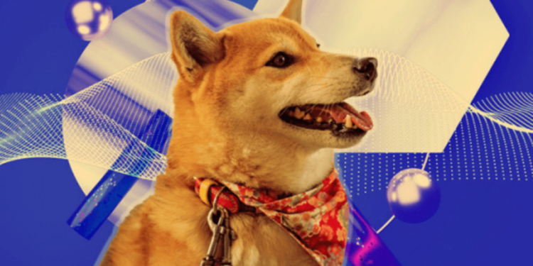 Sự thật về Dogechain bị bán tháo 1 triệu DC/phút?