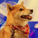 Sự thật về Dogechain bị bán tháo 1 triệu DC/phút?