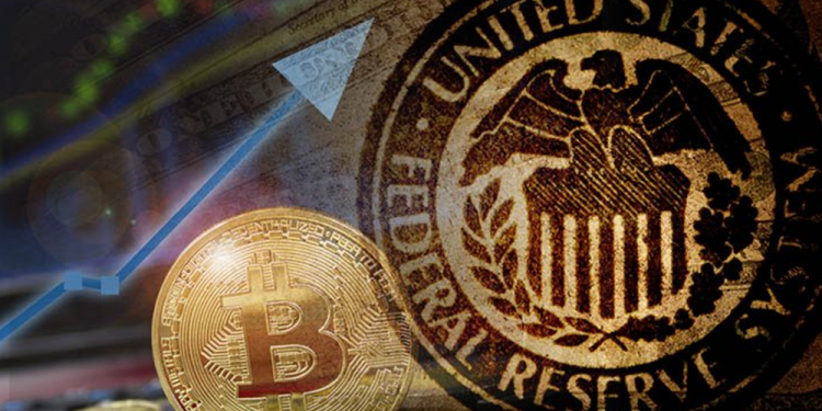 Lo ngại “cuộc tắm máu” chưa từng có trong thị trường Bitcoin