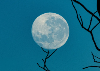 Điều gì khiến Terra Classic (LUNC) tăng mạnh 20%?