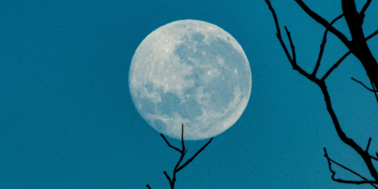 Điều gì khiến Terra Classic (LUNC) tăng mạnh 20%?