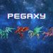 Pegaxy là gì? Hướng dẫn cách bắt đầu với Pegaxy