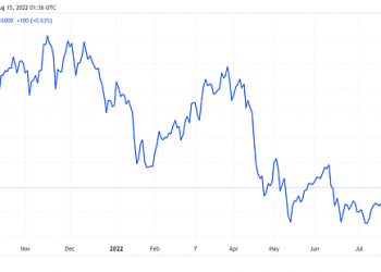 Xi măng Bỉm Sơn chốt quyền trả cổ tức 2021 bằng tiền tỷ lệ 5% - Ảnh 1.