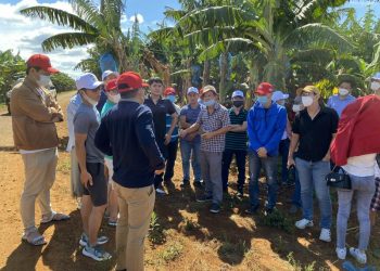 Hoàng Anh Gia Lai hoàn tất hồ sơ phát hành cổ phiếu riêng lẻ