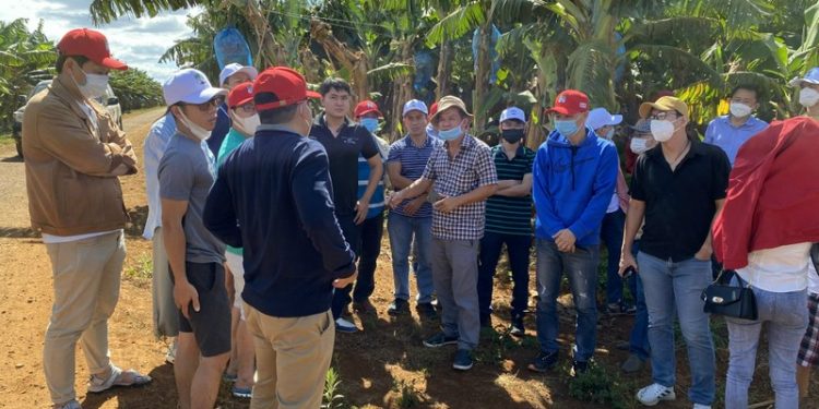 Hoàng Anh Gia Lai hoàn tất hồ sơ phát hành cổ phiếu riêng lẻ