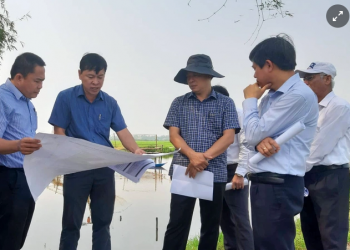 Hé lộ 2 dự án của tập đoàn T&T vừa bị Quảng Nam thu hồi