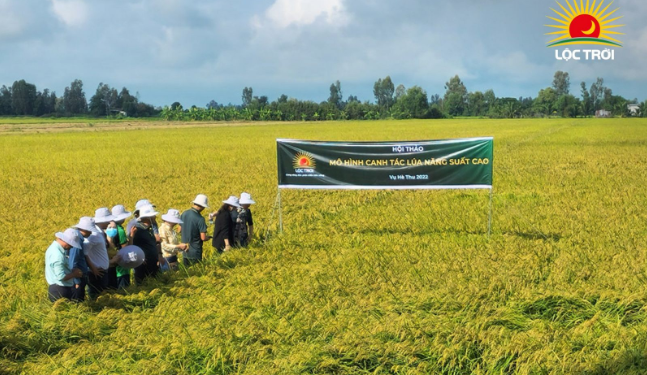 Lộc Trời ghi nhận doanh thu thuần 2022 đạt nửa tỷ USD