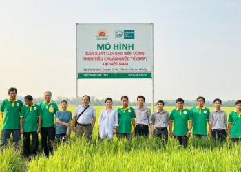 Lộc Trời giải thể hàng loạt công ty con