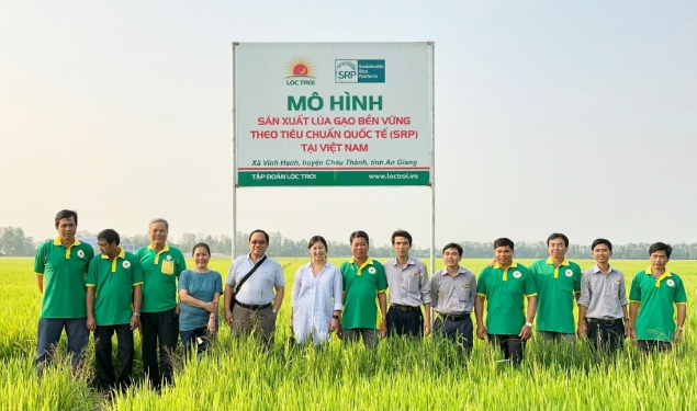 Lộc Trời giải thể hàng loạt công ty con