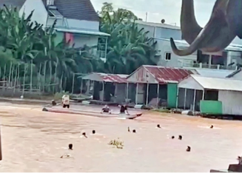 Vụ bơi qua sông trốn khỏi casino: Hé lộ 4 đường dây mua bán người