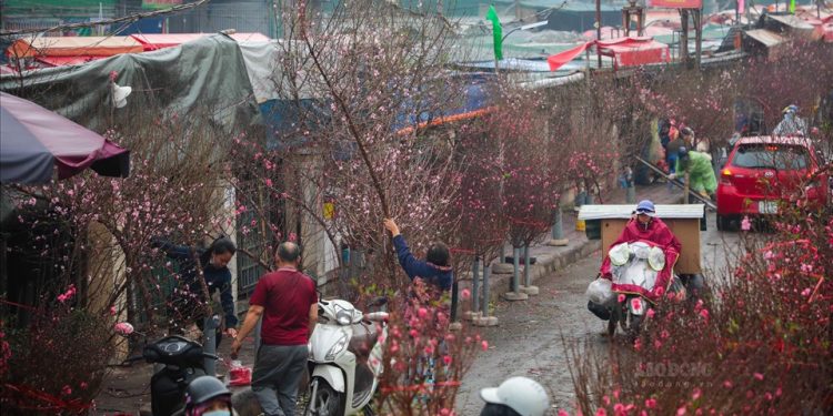 Đề xuất 2 phương án nghỉ Tết Nguyên đán Quý Mão 2023