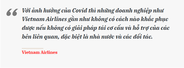 Vietnam Airlines: “Bằng mọi giải pháp sẽ duy trì niêm yết cổ phiếu HVN trên sàn HOSE” - Ảnh 3.