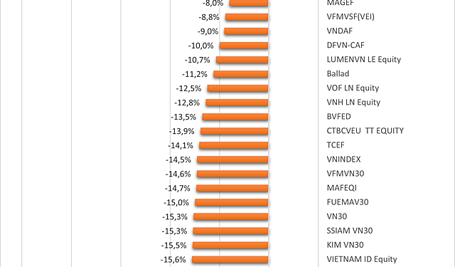 2 quỹ đầu tư cổ phiếu hiếm hoi có hiệu suất dương sau 8 tháng - Ảnh 1.