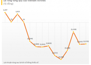 Vietnam Airlines: “Bằng mọi giải pháp sẽ duy trì niêm yết cổ phiếu HVN trên sàn HOSE” - Ảnh 1.