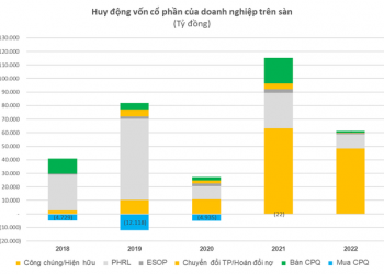 SSI, VNDirect dẫn đầu về lượng vốn cổ phần huy động 8T2022, DN trên sàn gần hết cổ phiếu quỹ để bán - Ảnh 1.