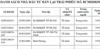 Becamex IDC tiếp tục mua lại trái phiếu trước hạn - Ảnh 1.