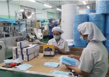 Bị hàng loạt ý kiến ngoại trừ của kiểm toán, Danameco nói gì?  - Ảnh 1.