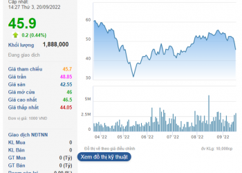 Chứng khoán Bản Việt (VCSC) không còn là cổ đông lớn của Hà Đô Group (HDG) - Ảnh 1.