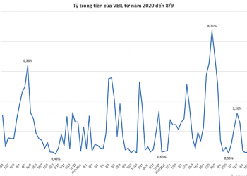 Chứng khoán chững lại, VEIL tiếp tục bán ròng trong tuần đầu tháng 9 - Ảnh 1.