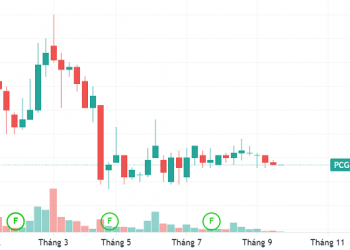 Cổ đông lớn nhất đăng ký bán 4,5 triệu cổ phiếu PCG - Ảnh 1.