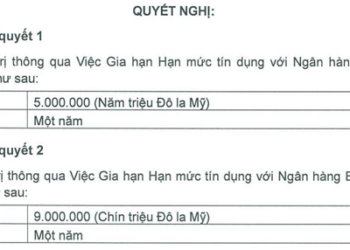 Cổ đông ngoại muốn bán 6 triệu cổ phiếu PHS - Ảnh 1.