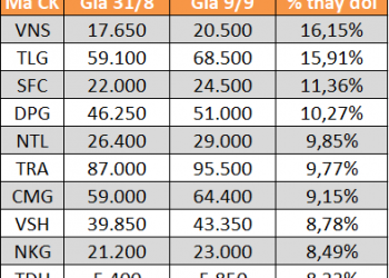 10 cổ phiếu tăng/giảm mạnh nhất tuần: Có mã lên gấp đôi dù thị trường gặp khó - Ảnh 1.