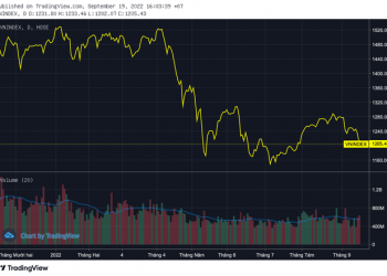 Cổ phiếu Bệnh viện tim bất ngờ tăng trần trong ngày thị trường chứng khoán giảm sâu - Ảnh 1.
