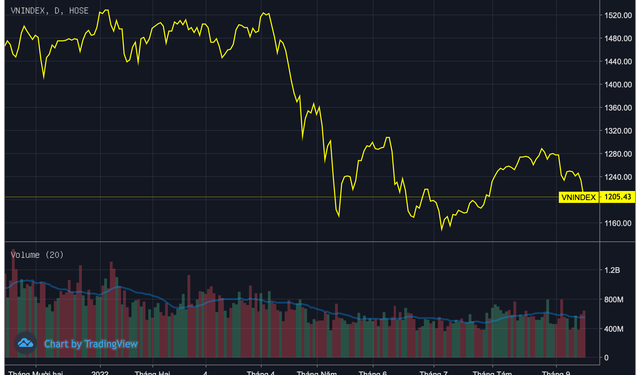 Cổ phiếu Bệnh viện tim bất ngờ tăng trần trong ngày thị trường chứng khoán giảm sâu - Ảnh 1.