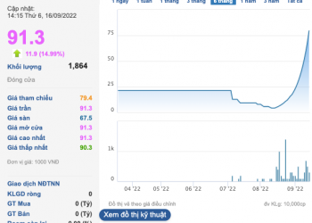 Cổ phiếu tăng trần gần 24 phiên liên tiếp, một công ty “kêu cứu” vì sợ bị thâu tóm - Ảnh 1.
