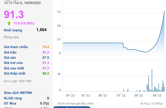 Cổ phiếu tăng trần gần 24 phiên liên tiếp, một công ty “kêu cứu” vì sợ bị thâu tóm - Ảnh 1.