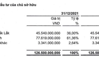 Đằng sau đà tăng một mạch từ 4.000 lên 90.000 đồng/cp và lời “kêu cứu” của công ty cà phê - Ảnh 1.