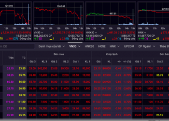 Đầu tư chứng khoán vẫn hấp dẫn hơn vàng, USD? - Ảnh 1.