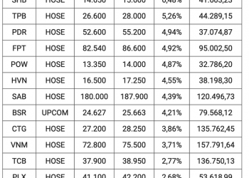 Điểm danh các cổ phiếu tăng mạnh nhất thị trường chứng khoán tháng 8 - Ảnh 1.