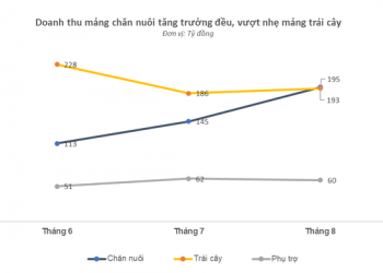 Doanh thu chăn nuôi vượt trái cây trong tháng 8, Hoàng Anh Gia Lai đều đặn duy trì mức lãi 4 tỷ đồng/ngày - Ảnh 1.