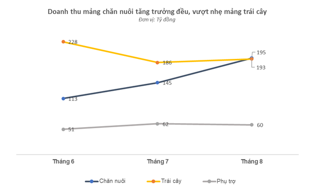 Doanh thu chăn nuôi vượt trái cây trong tháng 8, Hoàng Anh Gia Lai đều đặn duy trì mức lãi 4 tỷ đồng/ngày - Ảnh 1.