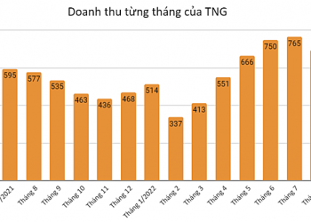 Doanh thu tháng 8 của Dệt May TNG đạt gần 700 tỷ đồng - Ảnh 1.