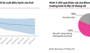 Chuyên gia VDSC: Dòng tiền chưa rút ra khỏi thị trường mà đang xoay vòng tại một số nhóm cổ phiếu - Ảnh 1.