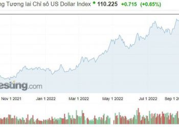 Dòng vốn ngoại “rục rịch” trở lại Đông Nam Á, Việt Nam trở thành điểm sáng - Ảnh 1.