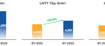 FPT lãi ròng hơn 3.400 tỷ đồng sau 8 tháng, tăng trưởng 30% so với cùng kỳ năm trước - Ảnh 1.
