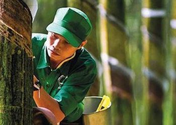 GVR ước đạt lợi nhuận hơn 4.400 tỷ đồng trong 9 tháng đầu năm 2022