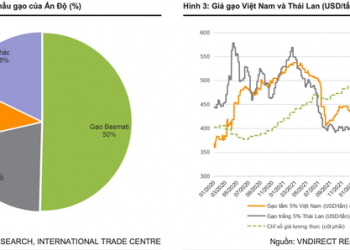 Giá gạo tăng tốc sau lệnh hạn chế xuất khẩu của Ấn Độ, cổ phiếu nào hưởng lợi? - Ảnh 1.
