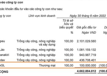 HAGL Agrico sắp giải thể một công ty con do hoạt động không hiệu quả - Ảnh 1.