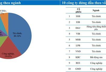 HoSE nhận hồ sơ niêm yết chứng chỉ quỹ ETF DCVFM VNMIDCAP - Ảnh 1.